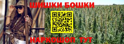 амф Камышлов
