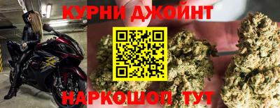амф Камышлов