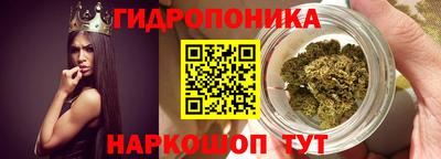 дмт Кандалакша