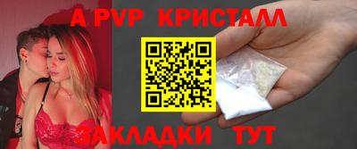 крисы Кингисепп